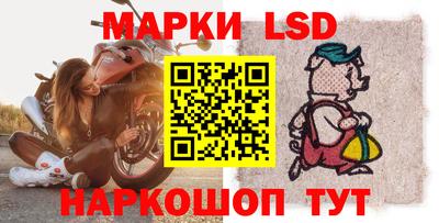 тгк Кингисепп