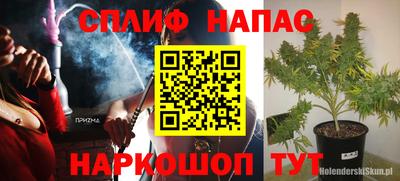 тгк Кингисепп