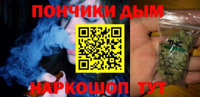 тгк Кингисепп