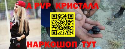 тгк Кингисепп