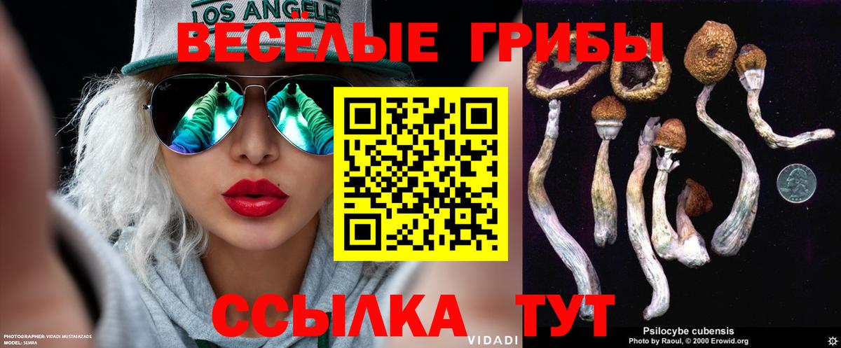Галлюциногенные грибы мицелий Кудрово