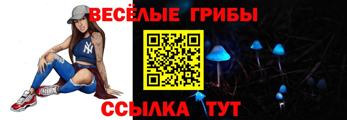 Галлюциногенные грибы мухоморы  Псилоцибиновые грибы Psilocybe  Вход с VPN  Кудрово 
